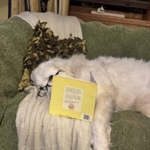 Pet Bites- Dog Bites - Image 7