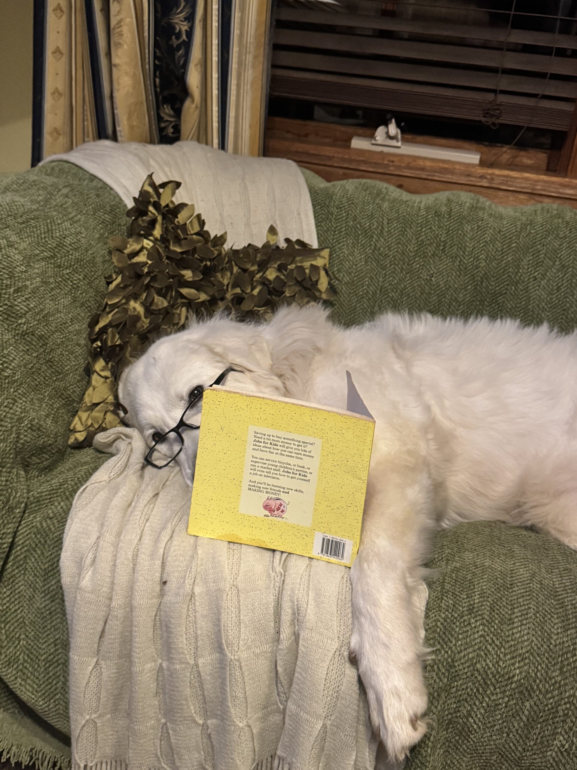 Pet Bites- Dog Bites - Image 7