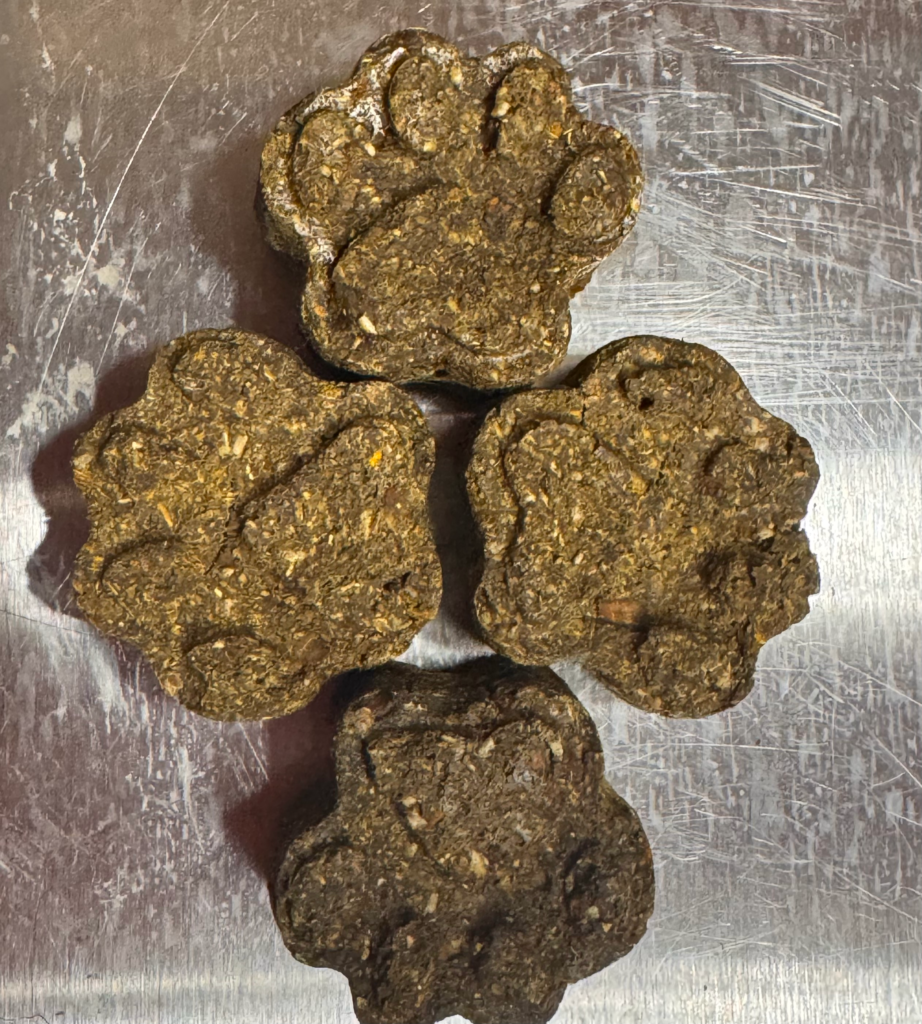 Pet Bites- Dog Bites