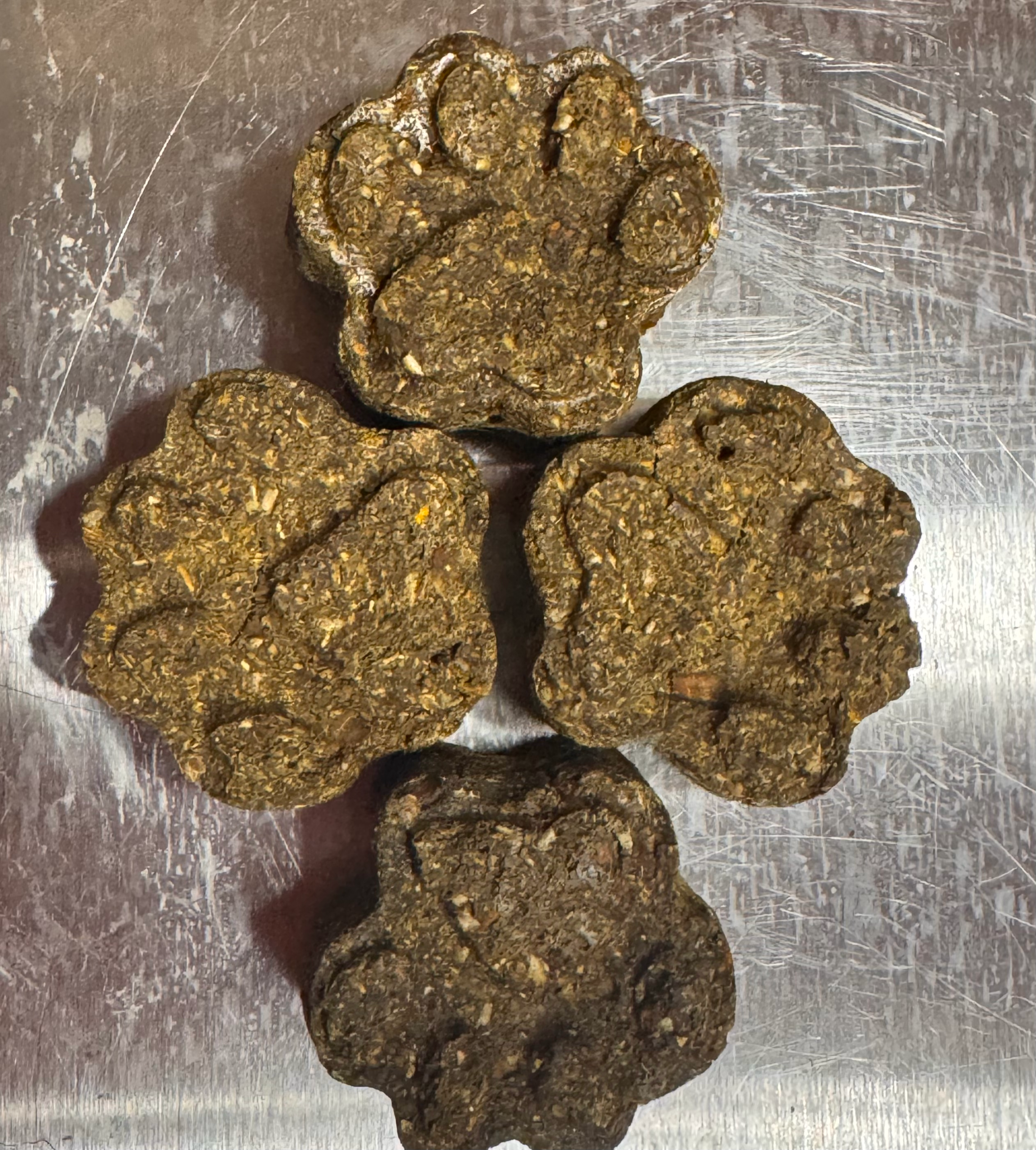 Pet Bites- Dog Bites - Image 14